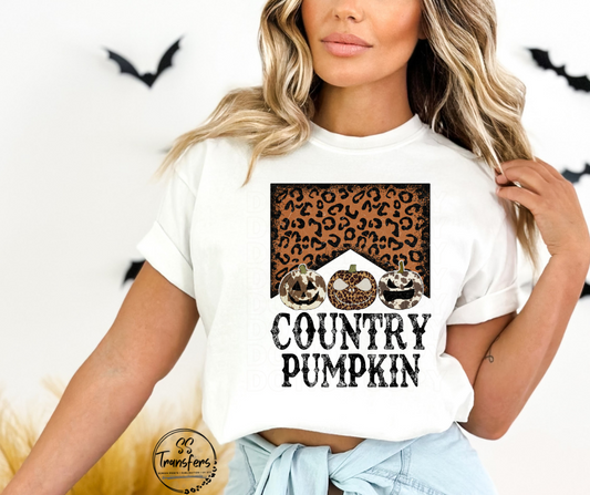 Country Pumpkin DTF Transfer
