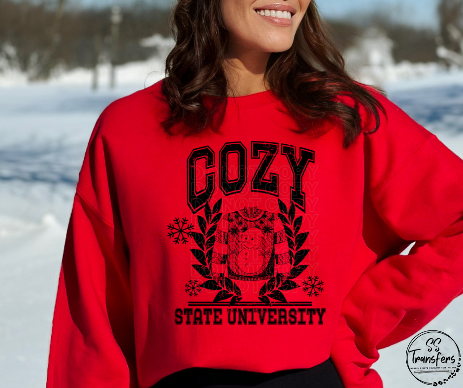 Cozy State University DTF Transfer