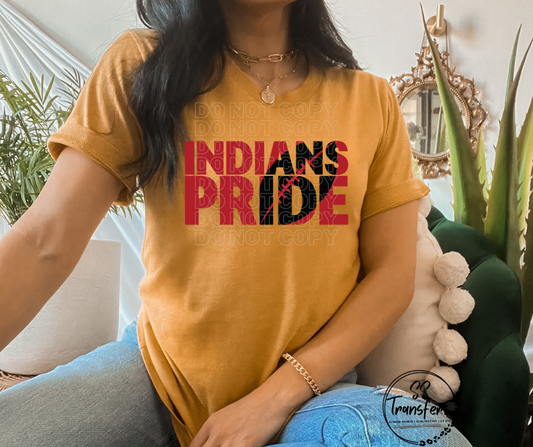 Indians Pride DTF Transfer