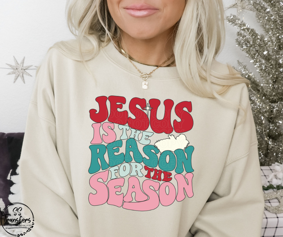 Jesus is The Reason DTF Transfer